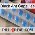 Black Ant Capsules 22